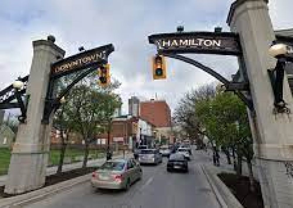 Hamilton Real Estate - Adrian Kokthi, Sales Representative