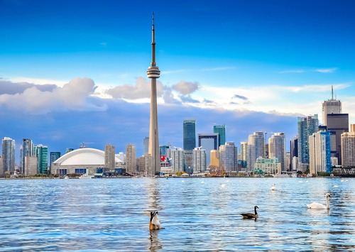 Toronto Real Estate - Adrian Kokthi, Sales Representative